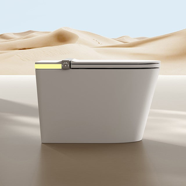 DORA|COMPLETE ONE PIECE LUXURY ELONGATED SMART TOILET