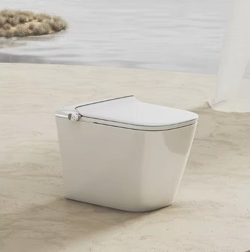 RAZE|ONE-PIECE SMART TOILET FULLY AUTOMATIC TOILET