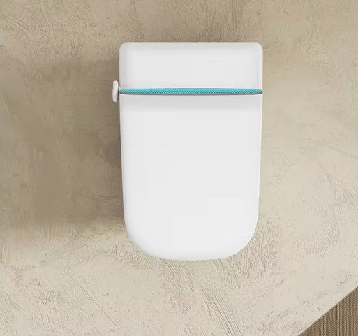 RAZE|ONE-PIECE SMART TOILET FULLY AUTOMATIC TOILET