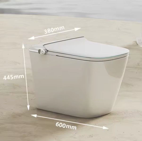 RAZE|ONE-PIECE SMART TOILET FULLY AUTOMATIC TOILET