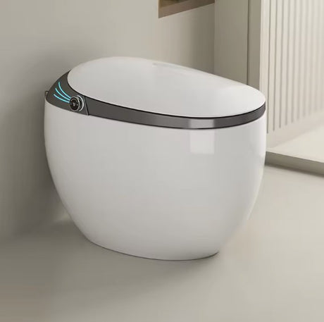 Sile | One-piece Smart Toilet Floor Mount Toilet