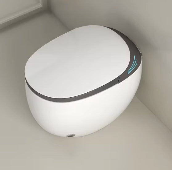 Sile | One-piece Smart Toilet Floor Mount Toilet