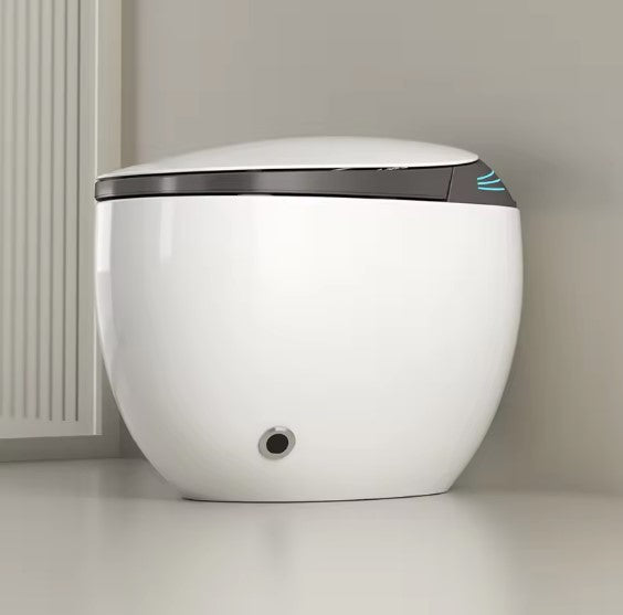Sile | One-piece Smart Toilet Floor Mount Toilet