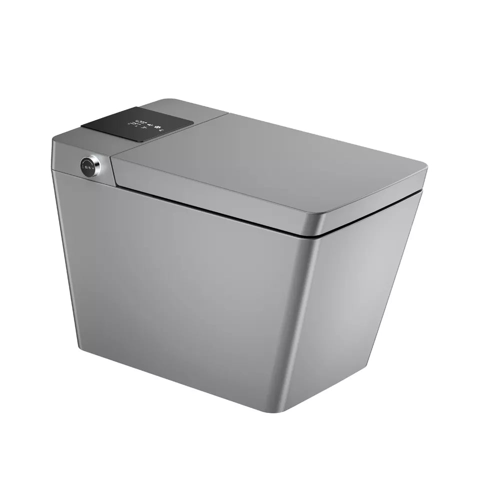 AVINDI| Smart One-Piece Toilet Luxury Resort Style Floor Mounted Remote Control Smart Toilet Smart Living and Technology