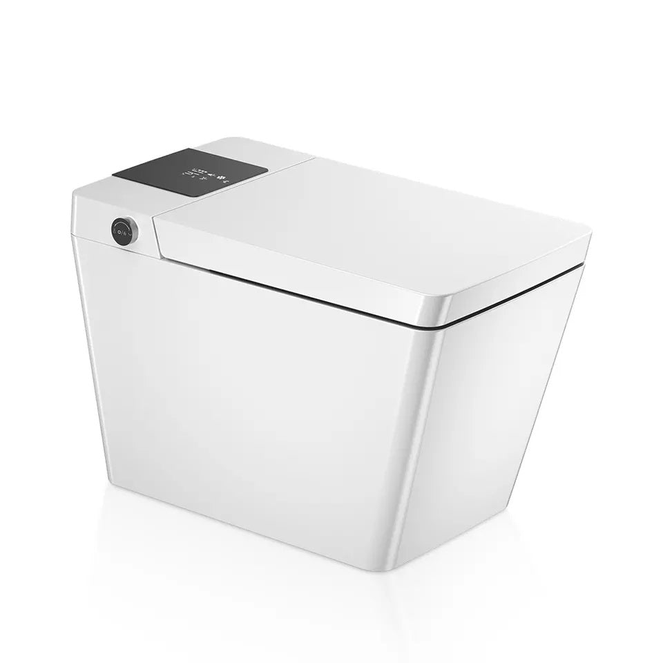AVINDI| Smart One-Piece Toilet Luxury Resort Style Floor Mounted Remote Control Smart Toilet Smart Living and Technology