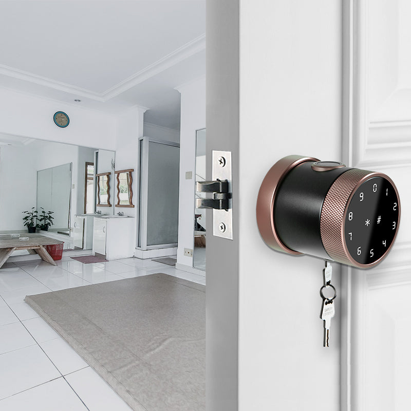 Smart Door Knob Lock Biometric Fingerprint with Passcode Keypad , Card ,Mobile App and Mechanical key Smart Living and Technology