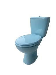 Myth or Reality: The Blue Toilet Seat and Pregnancy