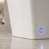 AVINDI| Smart One-Piece Toilet Square Shape Luxury Resort Style Floor Mounted Remote Control Smart Toilet
