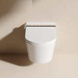 Dora | complete Wall Hung One Piece Luxury Elongated Smart Toilet Complete With Built-in Tank