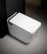 EDGE|One Piece Smart Toilet Mount Smart bidet Toilet