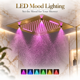 ENCORE|COMPLETE LUXURY DUAL SHOWERHEAD LED MUSIC SHOWER SYSTEM