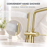 BYREL matching handheld shower wand for the brushed gold bathtub filler