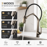COBRA| PULL DOWN KITCHEN FAUCET WITH LED DISPLAY AND SENSOR