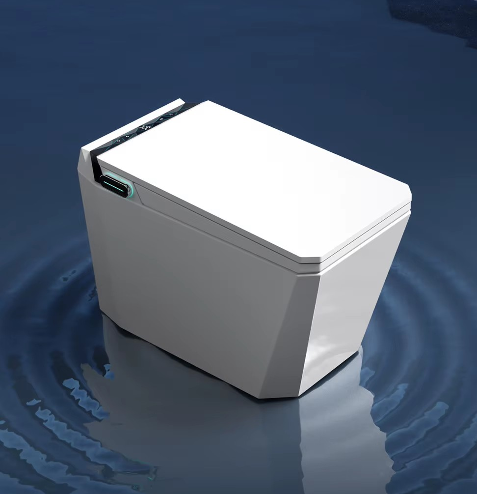 EDGE|One Piece Smart Toilet Mount Smart bidet Toilet