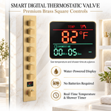 SAFARI seven-function thermostatic shower valve with digital temperature display
