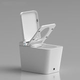 AFOONA| ONE PIECE FLOOR OR WALL HUNG LUXURY SMART TOILET SMART TOILET