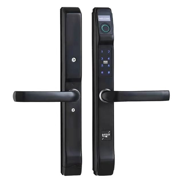 EARTH | Sliding Door Smart Lock Fingerprint Keyless Entry Door Lock Pa ...