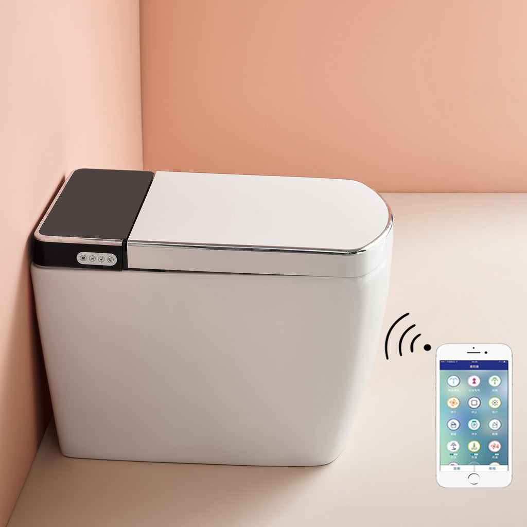 Best Smart Toilets : Elevate Your Bathroom with Luxury and Innovation ...