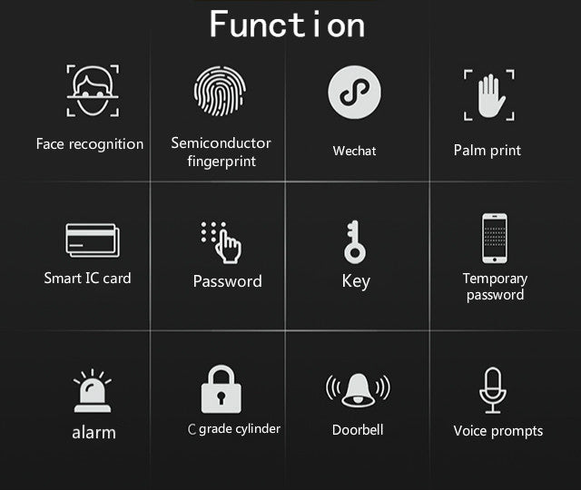 SPACESHIP | Face & Palm Recognition Door Lock Smart Living and Technology